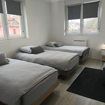 Appartement Entier F3 Renove - Petite Pause A Sélestat Buitenkant foto