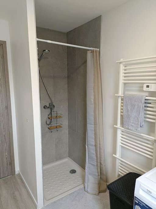 Appartement Entier F3 Renove - Petite Pause A Sélestat Buitenkant foto