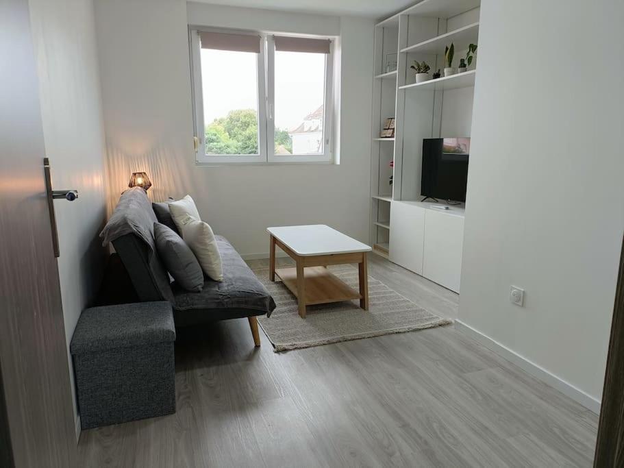 Appartement Entier F3 Renove - Petite Pause A Sélestat Buitenkant foto