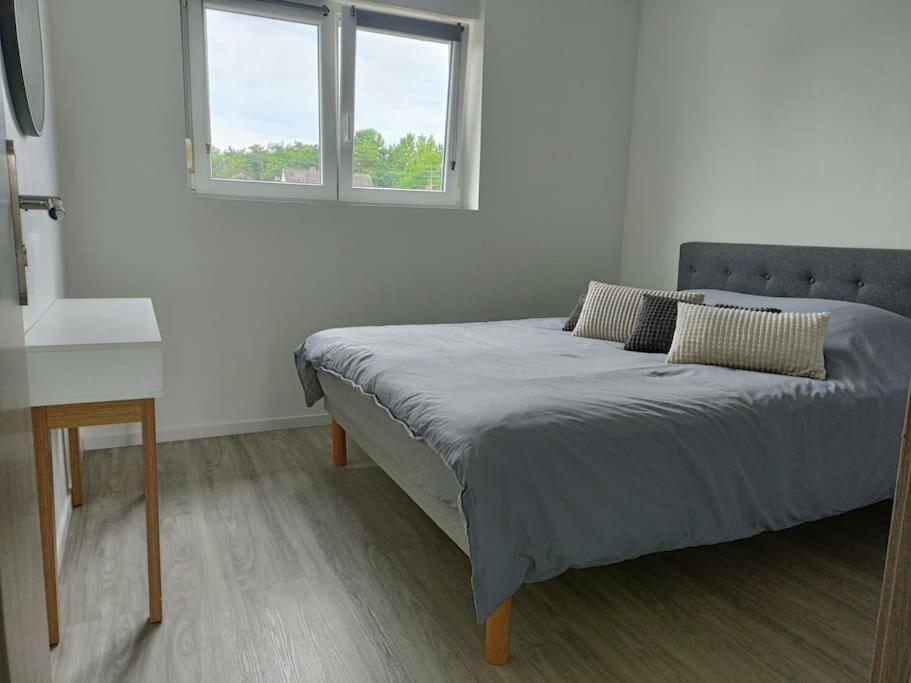 Appartement Entier F3 Renove - Petite Pause A Sélestat Buitenkant foto