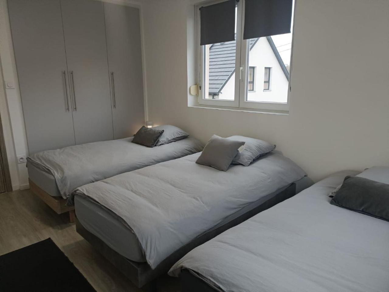 Appartement Entier F3 Renove - Petite Pause A Sélestat Buitenkant foto