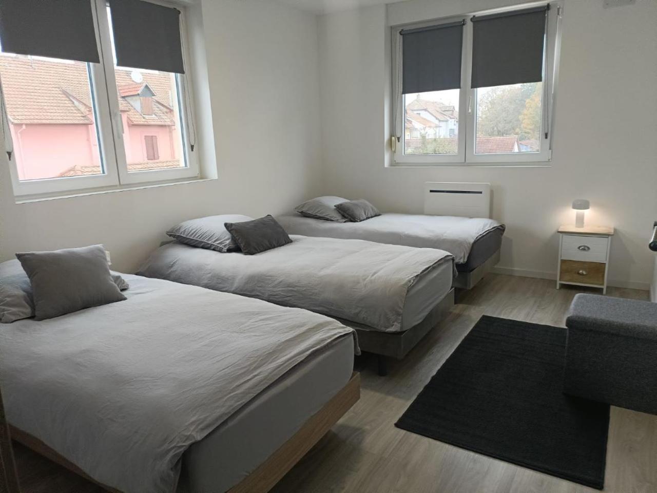 Appartement Entier F3 Renove - Petite Pause A Sélestat Buitenkant foto